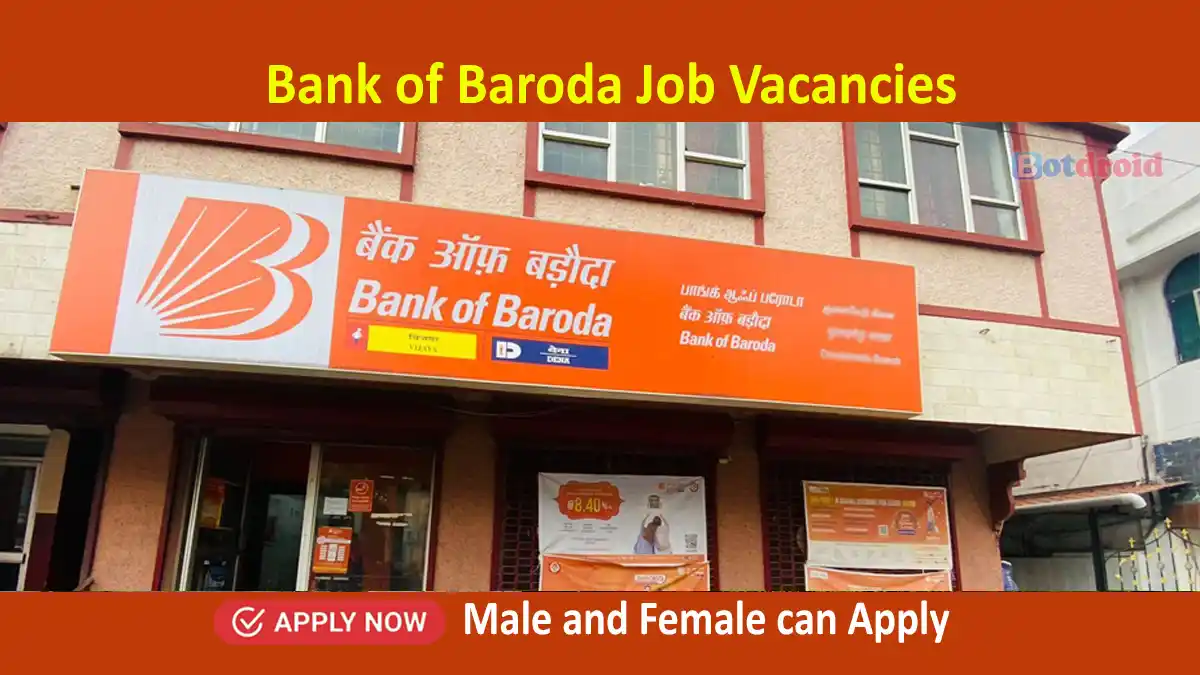 Bank of Baroda Recruitment 2024, Apply Online for BOB Job vacancy 2024