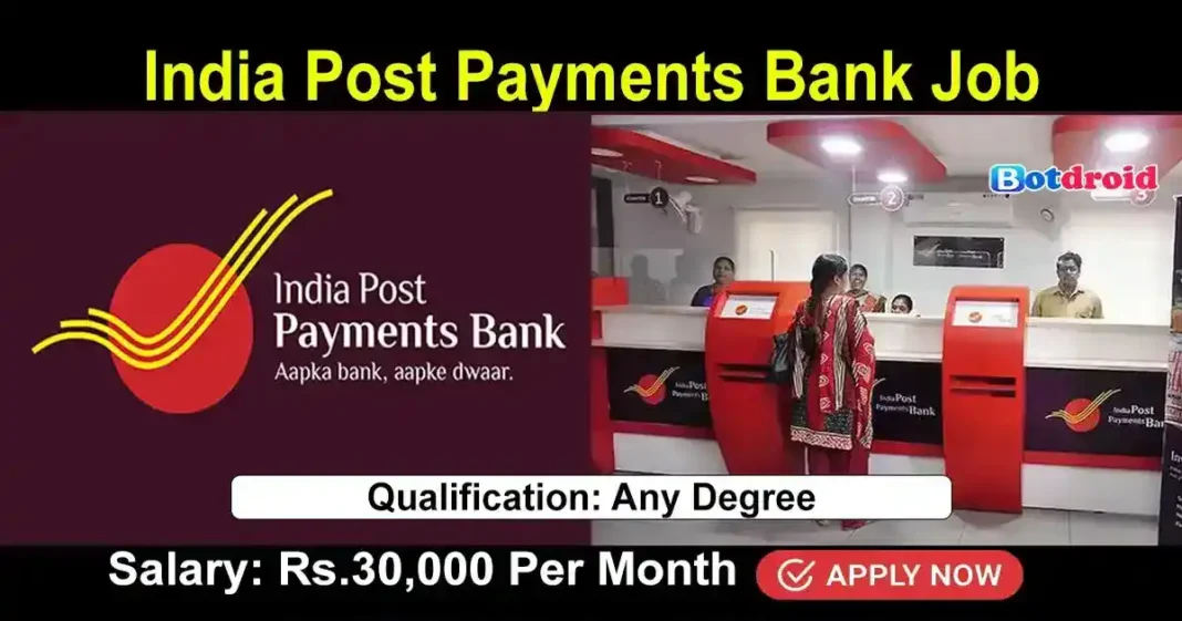 IPPB Recruitment 2024, Apply online for Executive Jobs in India Post Payments Bank