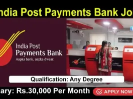 IPPB Recruitment 2024, Apply online for Executive Jobs in India Post Payments Bank