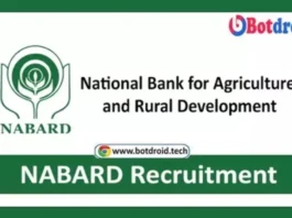 NABARD Recruitment 2024 Apply Online for Group C Posts