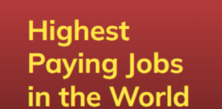 highest paying jobs in the world