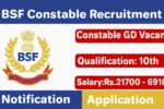 BSF Constable Recruitment 2024, Apply Online for BSF Jobs