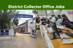 Tenkasi Collector Office Recruitment 2025, Apply Online for TN Govt Jobs