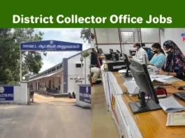 Tenkasi Collector Office Recruitment 2025, Apply Online for TN Govt Jobs