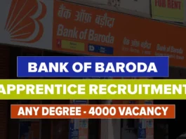 Bank of Baroda Apprentice Recruitment 2025 Online Application Starts Now