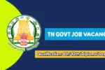 TN Govt CWAL and DPHL Recruitment 2025 Released, 8th Pass can apply